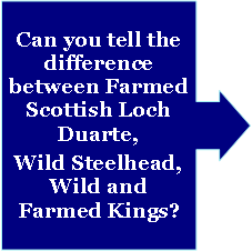 Right Arrow Callout: Can you tell the difference between Farmed Scottish Loch Duarte, Wild Steelhead, Wild and Farmed Kings?